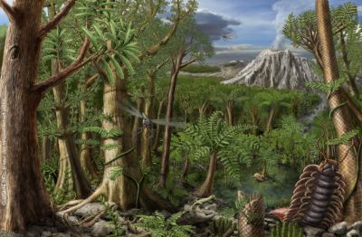 Chemnitz vor 291 Millionen Jahren